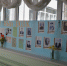 DSC_1341.JPG - Администрация г. Домодедово