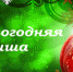 image - Domodedovo-City.Ru