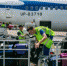 ​Трафик медгруза в Домодедово на 20% превысил уровень 2019 года - VDomodedovo.Info