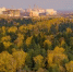 Инфраструктуру для комфортного отдыха создадут в 19 лесопарках Подмосковья - Газета Призыв
