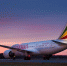 Ethiopian Airlines возобновляет рейсы из аэропорта Домодедово - Газета Призыв