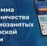 «Программы наставничества для самозанятых» - Администрация г. Домодедово