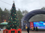 К началу зимнего сезона в парке Домодедова зажгли гирлянды на елке