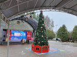 К началу зимнего сезона в парке Домодедова зажгли гирлянды на елке