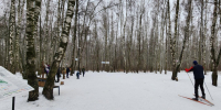 В домодедовском парке «Городской лес» обновили навигацию на лыжной трассе - Regions.Ru