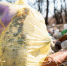 В Домодедове ликвидируют несанкционированную свалку - Regions.Ru