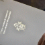 Глава СК затребовал итоги проверки по обращению членов СНТ в Домодедове - Regions.Ru