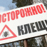 Укусы незаметны, а риск велик: почему нельзя игнорировать клещей - Regions.Ru