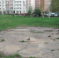 scale_2400 (6) - Газета Призыв