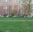 5312214379070091086 - Газета Призыв