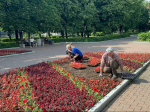 Фото: Эдуард Стратонов