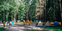 Делаем парк «Ёлочки» современнее и комфортнее! - Администрация г. Домодедово