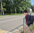 В Домодедове на пешеходных переходах поставили пластиковые фигуры детей - Regions.Ru