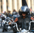 В Домодедове пройдет мотофестиваль Biker Brothers Festival - Regions.Ru