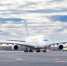 ​Домодедово поздравляет авиакомпанию Эмирейтс с 40-летием - VDomodedovo.Info