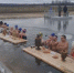​«Вельяминовские моржи» установили новый рекорд - VDomodedovo.Info