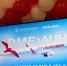 Домодедово отмечает годовщины полётов Air Arabia в Абу-Даби и Рас-эль-Хайму - Аэропорт Домодедово