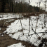Воды текут не туда: эконадзор выявил сброс на участке гольф-курорта и объявил владельцам земли официальное предостережение - Regions.Ru
